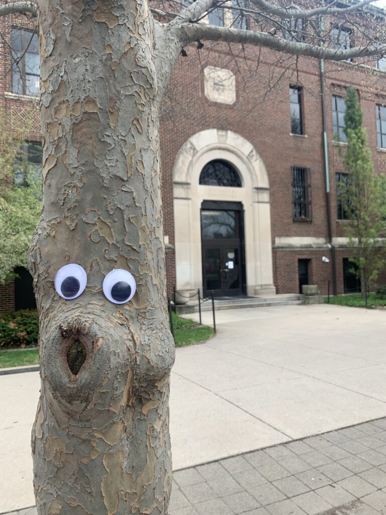 05965C6B-A451-4F6F-90B2-CF0D6C69F8FB