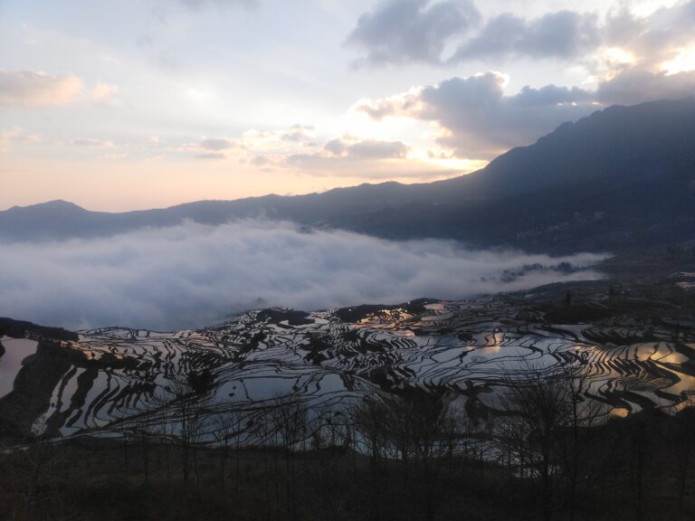 IMG_20190129_081400 (2019_09_17 13_16_16 UTC)