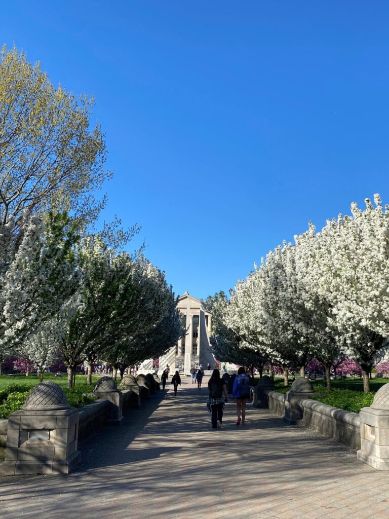 PHOTO-2024-06-11-09-25-45 7