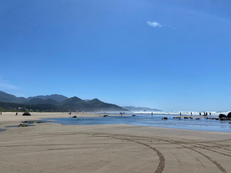 PHOTO-2024-06-11-09-25-45 9